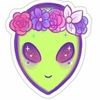 missvenusmay